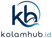 kolamhub.id